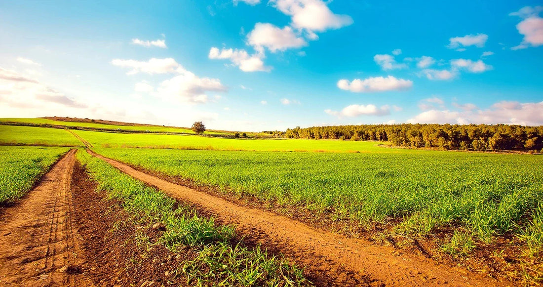 Top or Best Animation and Motion Graphic Agencies and Companies in Johnston, Iowa