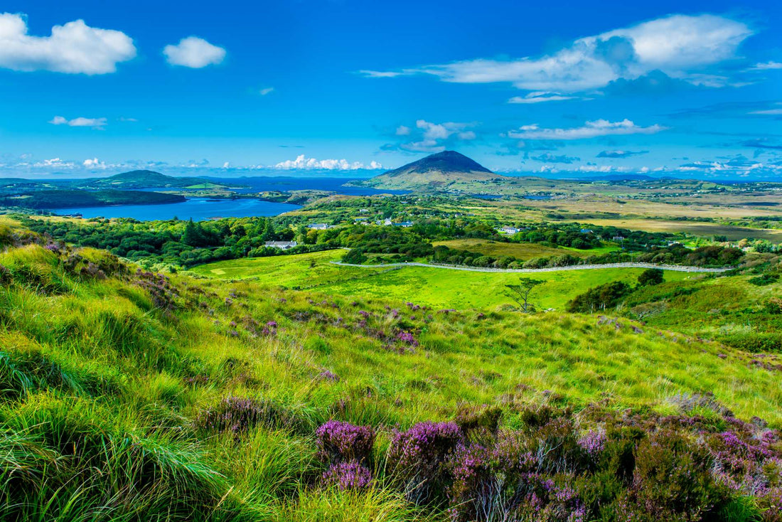 Top Graphics Design Agencies for Streamers in Ireland