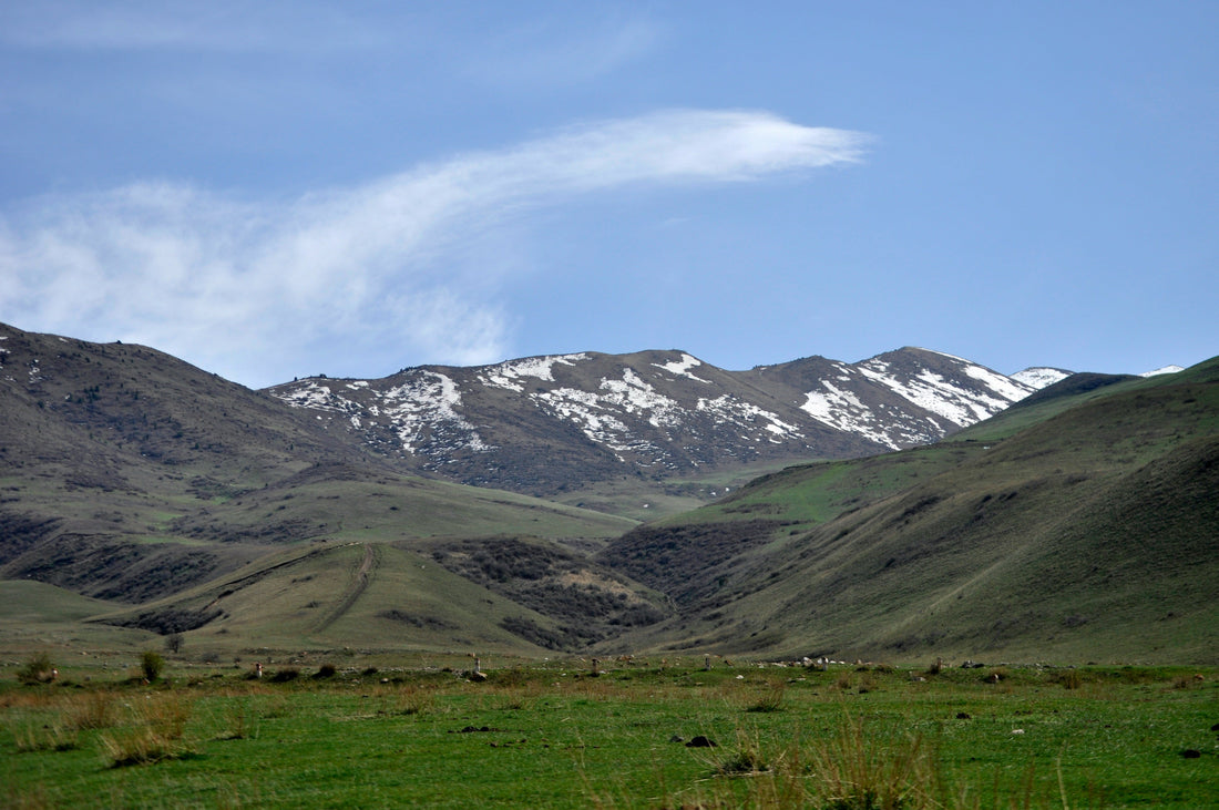 Top or Best Email Campaign Design Agencies and Companies in Spring Valley, Nevada