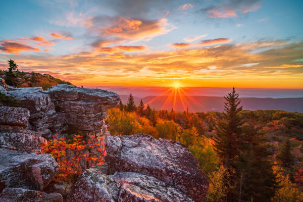 Top or Best Social Media Management Agencies and Companies in Huntington, West Virginia