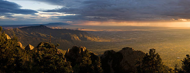 Top 5 Brochure Design Agencies in New Mexico