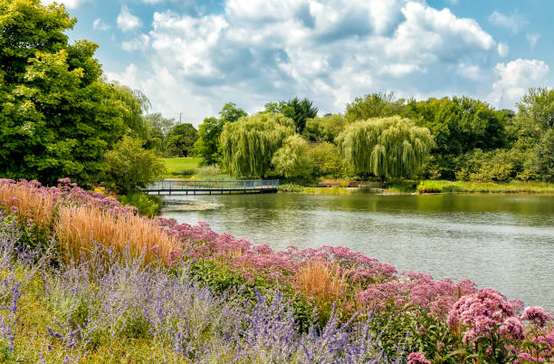 Top or Best Facebook Management Companies and Agencies in Schaumburg, Illinois