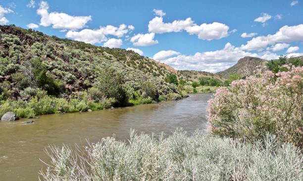 Top Custom Graphics for Videos Agencies in New Mexico