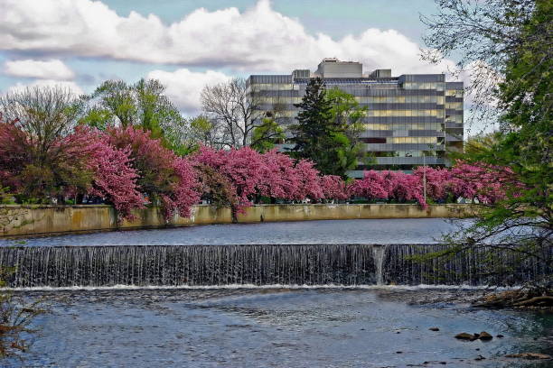 Top or Best Presentation Design Agencies and Companies in West Haven, Connecticut