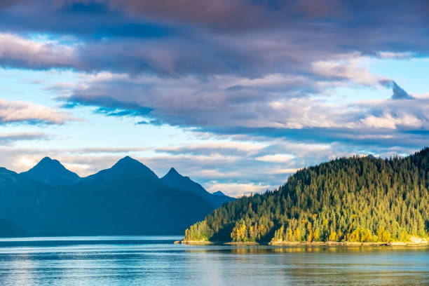 Top or Best Email Campaign Design Agencies and Companies in Wasilla, Alaska