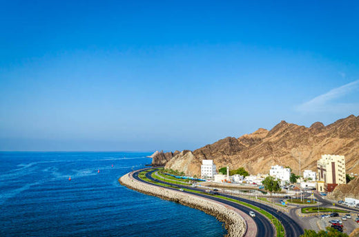 Top Infographic Design Agencies in Oman
