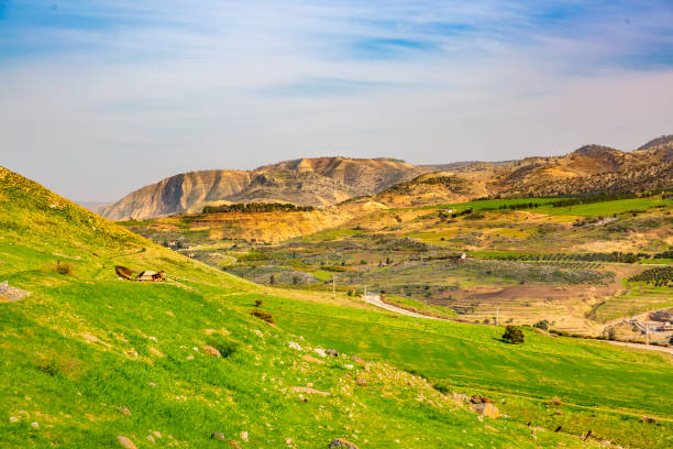 Best YouTube Management Companies in Palestine State