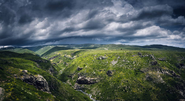 Top Animation & Motion Graphic Agencies in Armenia