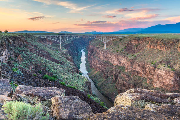 Top 5 Flyer Design Agencies in New Mexico