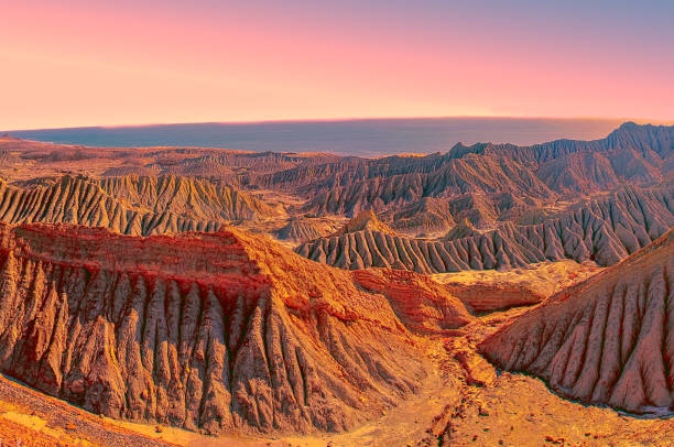 Best YouTube Management Companies in Pakistan