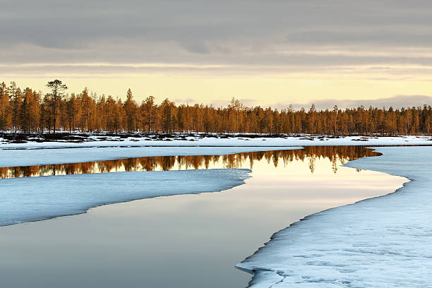 Top Social Media Management Companies in Finland