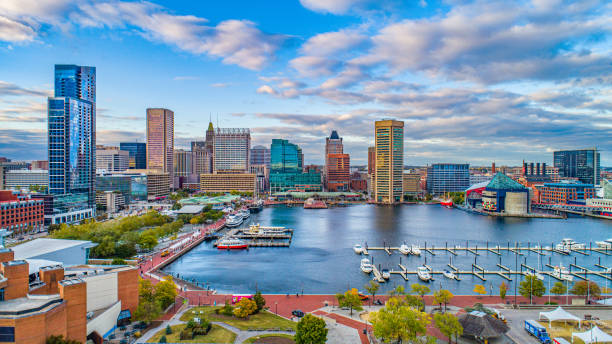 Top or Best Social Media Design Agencies and Companies in Towson, Maryland