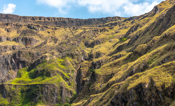 Best LinkedIn Management Companies in Liberia