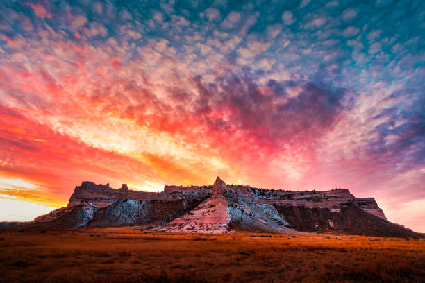 Top or Best Twitch Management Agencies and Companies in Scottsbluff, Nebraska