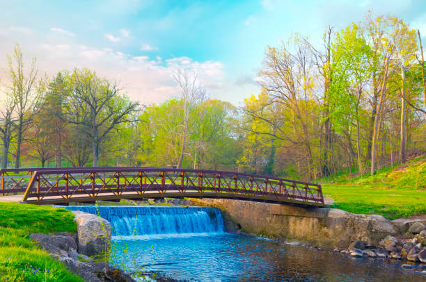 Top or Best Custom Graphics for Videos Agencies and Companies in Kokomo, Indiana