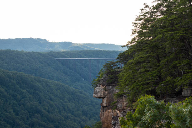 Top or Best Mural Design Agencies and Companies in Beckley, West Virginia