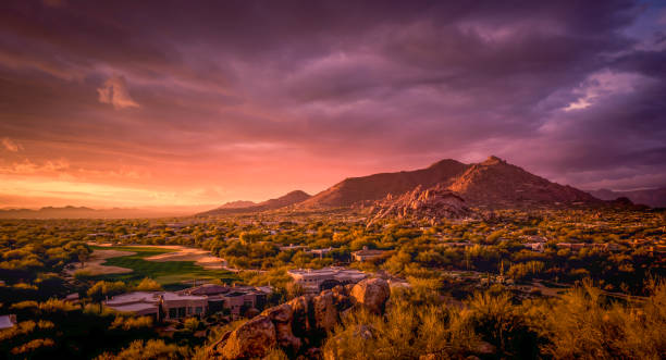 Top or Best App UI/UX Design Agencies and Companies in Tucson, Arizona