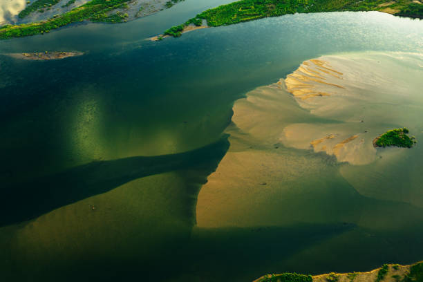 Top Catalog Design Agencies in Zambia