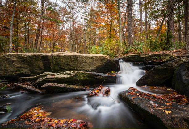 Top or Best AR Filters and Lenses Agencies and Companies in Phenix City, Alabama