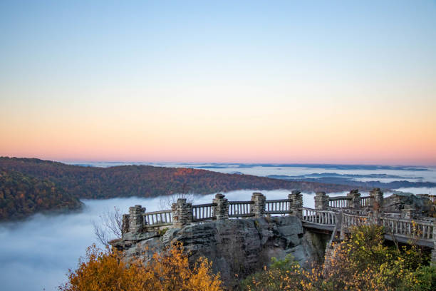 Top 5 Poster Design Agencies in West Virginia