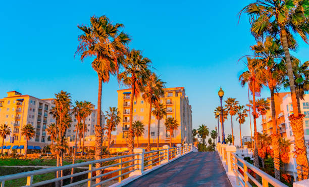 Top or Best Flyer Design Agencies and Companies in Santa Clarita, California