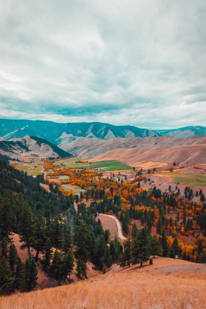 Top or Best Social Media Design Agencies and Companies in Pocatello, Idaho