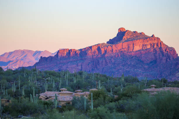 Top or Best Drawing and Illustration Agencies and Companies in Goodyear, Arizona