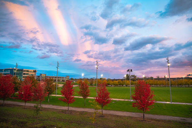 Top or Best Social Media Design Agencies and Companies in Council Bluffs, Iowa