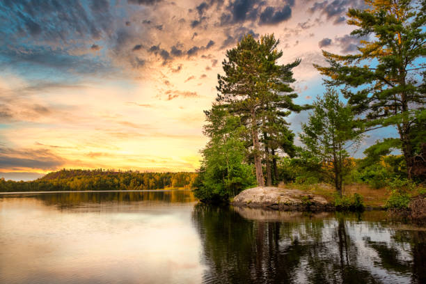 Top or Best X (Twitter) Management Agencies and Companies in Eagan Minnesota