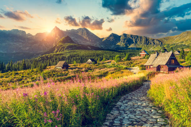 Top 5 Storyboard Agencies in Poland