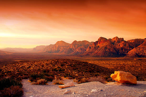 Top 5 Menu Design Agencies in Nevada