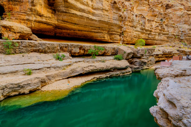 Top App UI/UX Design Agencies in Oman