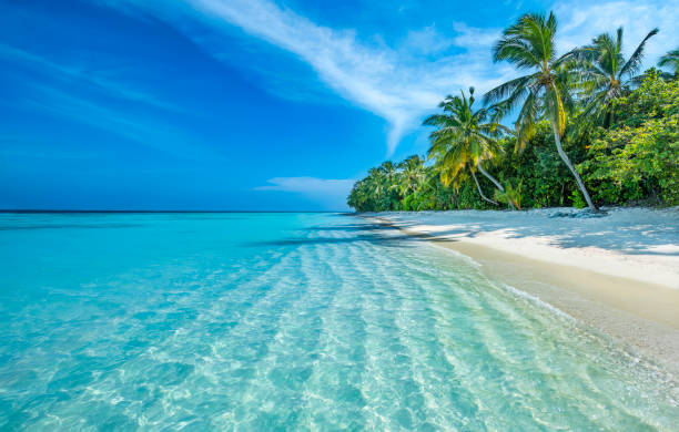 Best Facebook Management Companies in Maldives