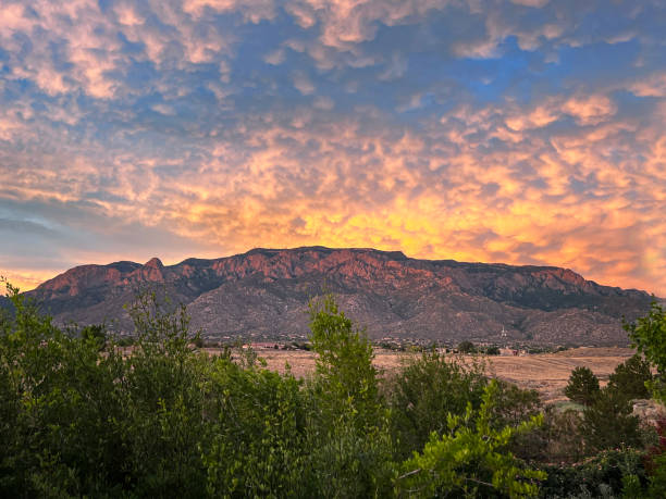 Top Email Campaign Design Agencies in New Mexico