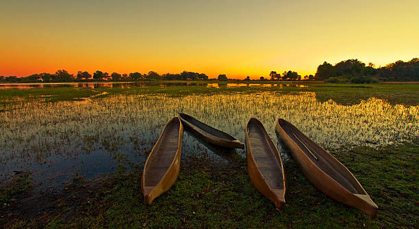 Top Website Design Agencies in Botswana