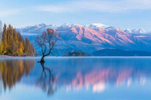 Top 5 Virtual Background Design Agencies in New Zealand