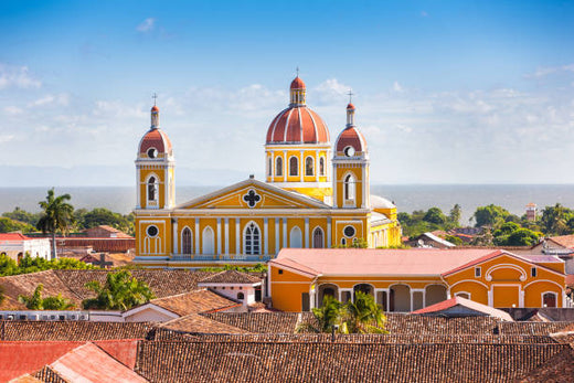 Top 5 Logo Animation Agencies in Nicaragua