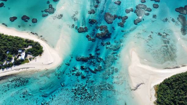 Top App UI/UX Designers in Tonga