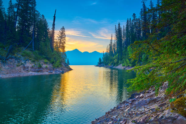 Top 5 Menu Design Agencies in Montana