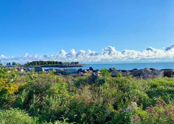 Top and Best Twitch Management Agencies and Companies in Racine, Wisconsin