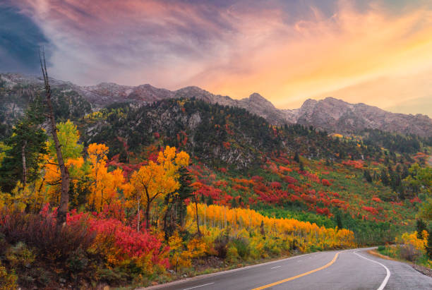 Top or Best Social Media Management Agencies and Companies in Sandy, Utah