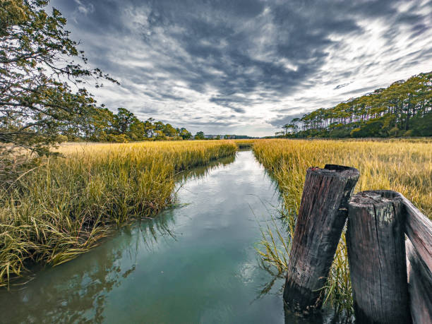 Top or Best Graphic Design Subscription Agencies and Companies in Bluffton, South Carolina