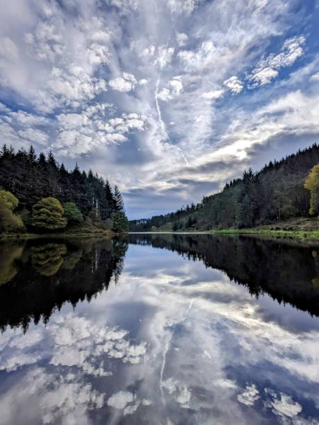 Top or Best Tattoo Design Agencies and Companies in Bolton, England