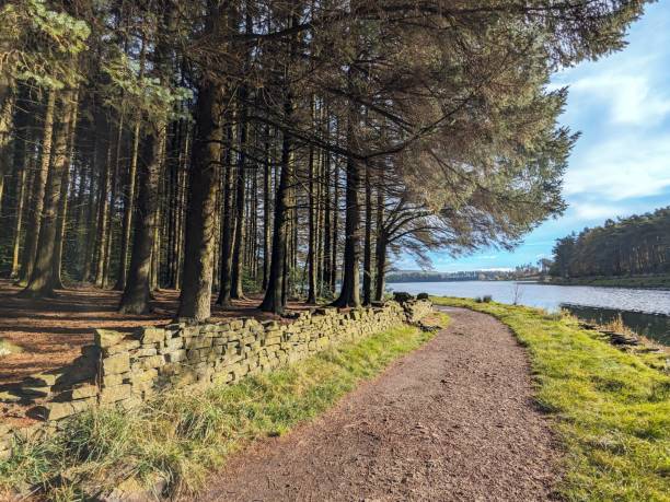 Top or Best Storyboards Agencies and Companies in Bolton, England