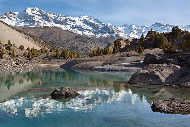 Top Flyer Design Agencies in Tajikistan