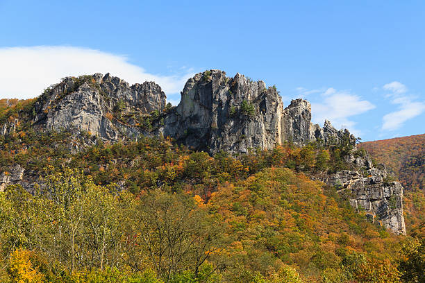 Top 5 Menu Design Agencies in West Virginia
