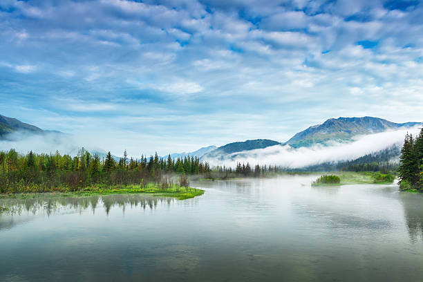 Top or Best Brand Identity Package Agencies and Companies in Wasilla, Alaska