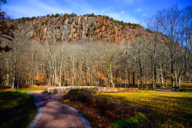 Top or Best Mural Design Agencies and Companies in West Haven, Connecticut