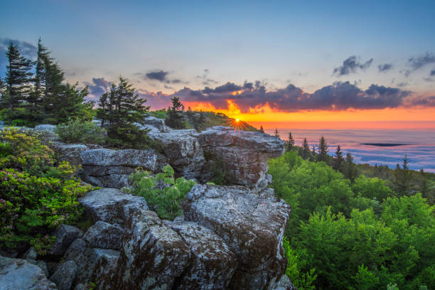 Top or Best TikTok Management Agencies and Companies in Huntington, West Virginia