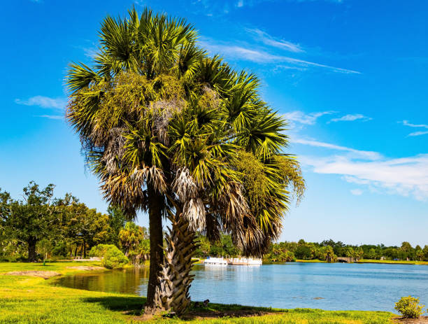 Top 5 Menu Design Agencies in Louisiana